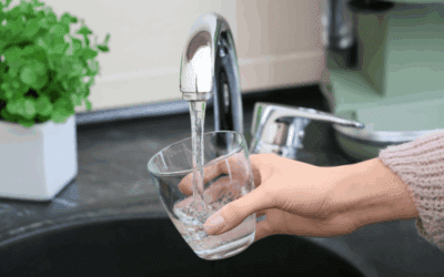 Calidad del agua: claves para salud y electrodomésticos